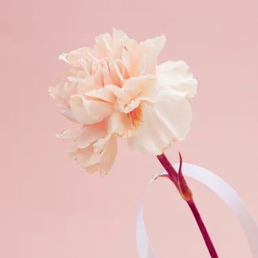 1658474078701147.jpg 02.jpg