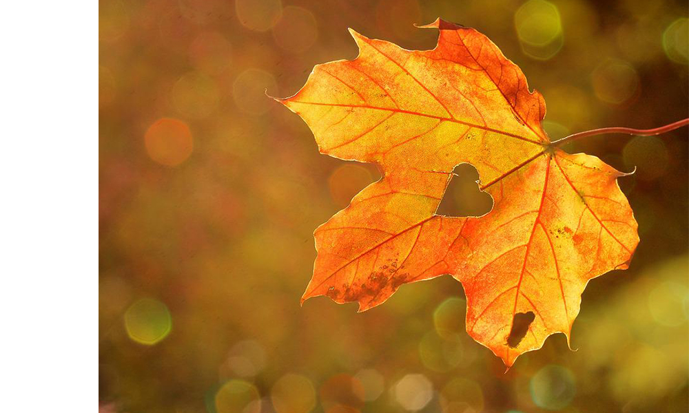 1662773129835741.jpg 03.jpg